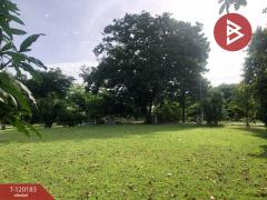 ขายที่ดิน เนื้อที่ 1 งาน 97.4 ตร.วา บ้านยาง นครปฐม-202508281513481756368828547.jpg