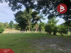 ขายที่ดิน เนื้อที่ 1 งาน 97.4 ตร.วา บ้านยาง นครปฐม-202508281513491756368829099.jpg