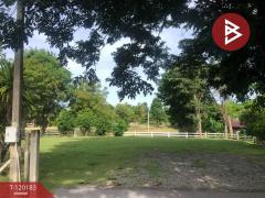 ขายที่ดิน เนื้อที่ 1 งาน 97.4 ตร.วา บ้านยาง นครปฐม-202508281513491756368829650.jpg