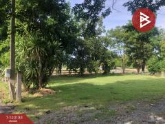 ขายที่ดิน เนื้อที่ 1 งาน 97.4 ตร.วา บ้านยาง นครปฐม-202508281513501756368830192.jpg