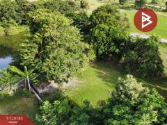 ขายที่ดิน เนื้อที่ 1 งาน 97.4 ตร.วา บ้านยาง นครปฐม-202508281513501756368830730.jpg