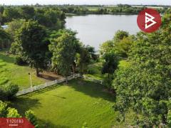 ขายที่ดิน เนื้อที่ 1 งาน 97.4 ตร.วา บ้านยาง นครปฐม-202508281513511756368831269.jpg