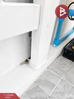 ขายทาวน์เฮ้าส์ หมู่บ้านเพชรลดา 2 แพรกษา-เทพารักษ์ สมุทรปราการ-202508281520361756369236037.jpg