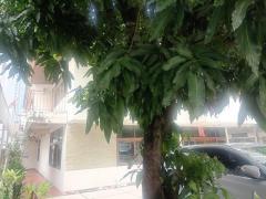 ให้เช่าบ้านเดี่ยว ถนน สันติภาพ แขวงสี่พระยา เขตบางรัก เขตบางรัก 4 ห้องนอน 4 ห้องน้ำ มีบ้านพักคนงาน สามารถปรับปรุงใด้ ใกล้สถานทูตรัสเซีย-202508281612431756372363124.jpg
