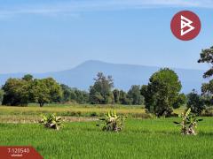 ขายบ้านเดี่ยว โครงการบ้านโมเดิร์นโฮม เฟส 2 นครนายก-202508281717021756376222361.jpg