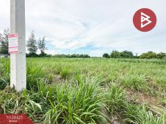 ขายที่ดิน เนื้อที่ 3 ไร่ 3 งาน 77 ตร.วา กำแพงแสน นครปฐม-202508291137171756442237226.jpg