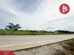 ขายที่ดิน เนื้อที่ 3 ไร่ 3 งาน 77 ตร.วา กำแพงแสน นครปฐม-202508291137171756442237759.jpg