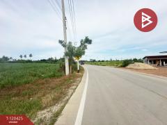 ขายที่ดิน เนื้อที่ 3 ไร่ 3 งาน 77 ตร.วา กำแพงแสน นครปฐม-202508291137181756442238283.jpg