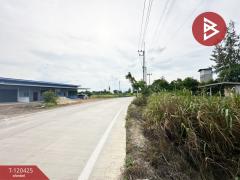 ขายที่ดิน เนื้อที่ 3 ไร่ 3 งาน 77 ตร.วา กำแพงแสน นครปฐม-202508291137191756442239346.jpg