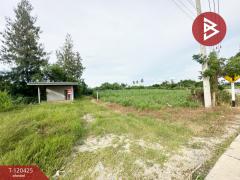 ขายที่ดิน เนื้อที่ 3 ไร่ 3 งาน 77 ตร.วา กำแพงแสน นครปฐม-202508291137191756442239872.jpg