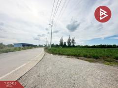 ขายที่ดิน เนื้อที่ 3 ไร่ 3 งาน 77 ตร.วา กำแพงแสน นครปฐม-202508291137201756442240403.jpg