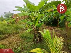 ขายที่ดิน เนื้อที่ 3 งาน 34 ตร.วา เกาะขวาง จันทบุรี-202508291146341756442794299.jpg