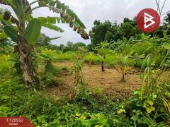 ขายที่ดิน เนื้อที่ 3 งาน 34 ตร.วา เกาะขวาง จันทบุรี-202508291146341756442794845.jpg