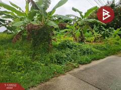 ขายที่ดิน เนื้อที่ 3 งาน 34 ตร.วา เกาะขวาง จันทบุรี-202508291146371756442797006.jpg