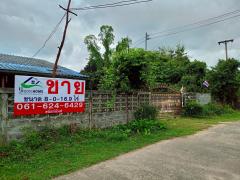 ขายที่ดินสวยๆ ติดถนน แปลงใหญ่ 8 ไร่กว่า ใน จ.อุบลราชธานี (N.1844)-202508291337311756449451365.jpg
