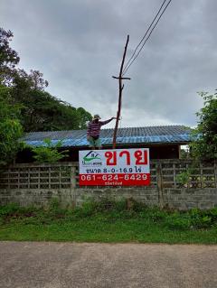 ขายที่ดินสวยๆ ติดถนน แปลงใหญ่ 8 ไร่กว่า ใน จ.อุบลราชธานี (N.1844)-202508291337311756449451941.jpg