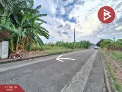 ขายที่ดิน เนื้อที่ 70 ตารางวา หมู่บ้านชัยพฤกษ์1 คุ้มเกล้า-ลาดกระบัง กรุงเทพมหานคร-202508291436251756452985355.jpg