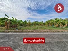 ขายที่ดิน เนื้อที่ 70 ตารางวา หมู่บ้านชัยพฤกษ์1 คุ้มเกล้า-ลาดกระบัง กรุงเทพมหานคร-202508291436251756452985916.jpg