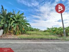 ขายที่ดิน เนื้อที่ 70 ตารางวา หมู่บ้านชัยพฤกษ์1 คุ้มเกล้า-ลาดกระบัง กรุงเทพมหานคร-202508291436261756452986456.jpg