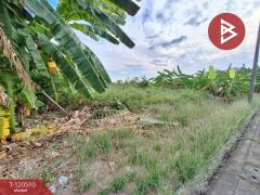 ขายที่ดิน เนื้อที่ 70 ตารางวา หมู่บ้านชัยพฤกษ์1 คุ้มเกล้า-ลาดกระบัง กรุงเทพมหานคร-202508291436271756452987221.jpg