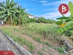 ขายที่ดิน เนื้อที่ 70 ตารางวา หมู่บ้านชัยพฤกษ์1 คุ้มเกล้า-ลาดกระบัง กรุงเทพมหานคร-202508291436271756452987764.jpg