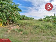 ขายที่ดิน เนื้อที่ 70 ตารางวา หมู่บ้านชัยพฤกษ์1 คุ้มเกล้า-ลาดกระบัง กรุงเทพมหานคร-202508291436281756452988304.jpg