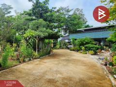  ขายบ้านเดี่ยว เนื้อที่ 1 ไร่ 36.3 ตร.วา ทัพทัน อุทัยธานี