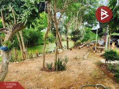  ขายบ้านเดี่ยว เนื้อที่ 1 ไร่ 36.3 ตร.วา ทัพทัน อุทัยธานี-202508291456171756454177578.jpg