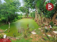  ขายบ้านเดี่ยว เนื้อที่ 1 ไร่ 36.3 ตร.วา ทัพทัน อุทัยธานี-202508291456181756454178158.jpg