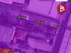 ขายที่ดิน พร้อมสิ่งปลูกสร้าง เนื้อที่ 1 งาน ซอยไทยประกัน 1/11 บางเสาธง สมุทรปราการ-202508291524291756455869408.jpg