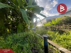 ขายที่ดิน พร้อมสิ่งปลูกสร้าง เนื้อที่ 1 งาน ซอยไทยประกัน 1/11 บางเสาธง สมุทรปราการ-202508291524331756455873357.jpg