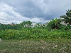 ขายที่ดินสายไหม72 แปลงเล็ก 50 ตร.วา เหมาะปลูกบ้าน ราคาถูกมาก รีบจองด่วน-202508291707541756462074076.jpg