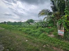 ขายที่ดินสายไหม72 แปลงเล็ก 50 ตร.วา เหมาะปลูกบ้าน ราคาถูกมาก รีบจองด่วน-202508291707551756462075582.jpg