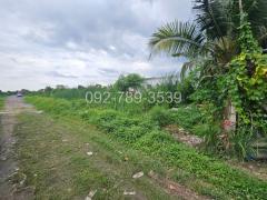 ขายที่ดินสายไหม72 แปลงเล็ก 50 ตร.วา เหมาะปลูกบ้าน ราคาถูกมาก รีบจองด่วน-202508291707561756462076568.jpg