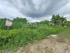 ขายที่ดินสายไหม72 แปลงเล็ก 50 ตร.วา เหมาะปลูกบ้าน ราคาถูกมาก รีบจองด่วน-202508291708001756462080493.jpg