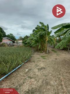 ขายที่ดิน-เนื้อที่-1-ไร่-3-งาน-26-ตารางว