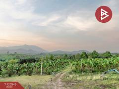 ขายที่ดินสวนทุเรียน พร้อมบ้าน 2 หลัง โป่งน้ำร้อน จันทบุรี-202508291719441756462784398.jpg