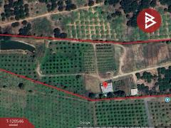 ขายที่ดินสวนทุเรียน พร้อมบ้าน 2 หลัง โป่งน้ำร้อน จันทบุรี-202508291719471756462787637.jpg