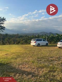 ขายที่ดินสวนทุเรียน พร้อมบ้าน 2 หลัง โป่งน้ำร้อน จันทบุรี-202508291719481756462788178.jpg