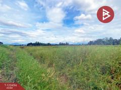 ขายที่ดิน เนื้อที่ 18 ไร่ 2 งาน 95.6 ตารางวา ท่าช้าง นครนายก ทำเลดีติดถนน