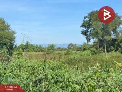 ขายที่ดิน เนื้อที่ 18 ไร่ 2 งาน 95.6 ตารางวา ท่าช้าง นครนายก ทำเลดีติดถนน-202508301121271756527687054.jpg