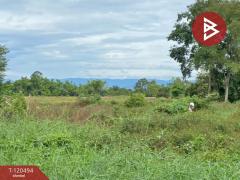 ขายที่ดิน เนื้อที่ 18 ไร่ 2 งาน 95.6 ตารางวา ท่าช้าง นครนายก ทำเลดีติดถนน-202508301121271756527687592.jpg