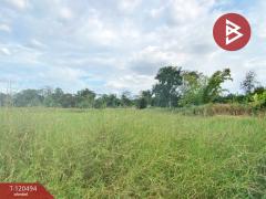 ขายที่ดิน เนื้อที่ 18 ไร่ 2 งาน 95.6 ตารางวา ท่าช้าง นครนายก ทำเลดีติดถนน-202508301121281756527688126.jpg