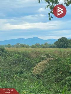 ขายที่ดิน เนื้อที่ 18 ไร่ 2 งาน 95.6 ตารางวา ท่าช้าง นครนายก ทำเลดีติดถนน-202508301121281756527688655.jpg