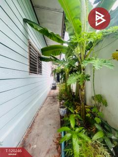 ขายที่ดินพร้อมสิ่งปลูกสร้าง เนื้อที่ 1 งาน 9 ตร.วา ราษฎร์บูรณะ กรุงเทพมหานคร-202508301237091756532229641.jpg