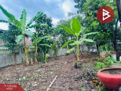 ขายที่ดินพร้อมสิ่งปลูกสร้าง เนื้อที่ 1 งาน 9 ตร.วา ราษฎร์บูรณะ กรุงเทพมหานคร-202508301237131756532233925.jpg