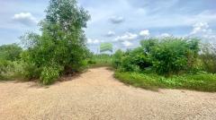 ขายที่ดินบ้านนา นครนายก เนื้อที่ 78 ตร.ว แปลงสวย ใกล้วัดคลอง31 ราคาถูก-202508301343261756536206860.jpg