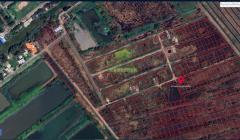 ขายที่ดินบ้านนา นครนายก เนื้อที่ 78 ตร.ว แปลงสวย ใกล้วัดคลอง31 ราคาถูก-202508301343381756536218736.jpg