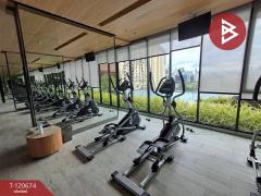 ขา​ยด่วนโครงการพลัม คอนโด รามคำแหง สเตชั่น (Plum Ramkhamhaeng Station) กรุงเทพฯ-202508301512201756541540667.jpg