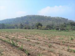 ขาย ที่ดิน ME126 แปลงใหญ่ ราคาถูก วิวเขา บ่อกวางทอง บ่อทอง ชลบุรี ขนาด 16 ไร่ 1 งาน 85 ตรว ติดถนนสาธรณะ 2 ด้าน ห่างถนน 331 เพียง 8.6 Km